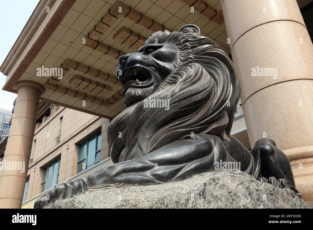 Realistic lion hi-res stock photography and images - Alamy