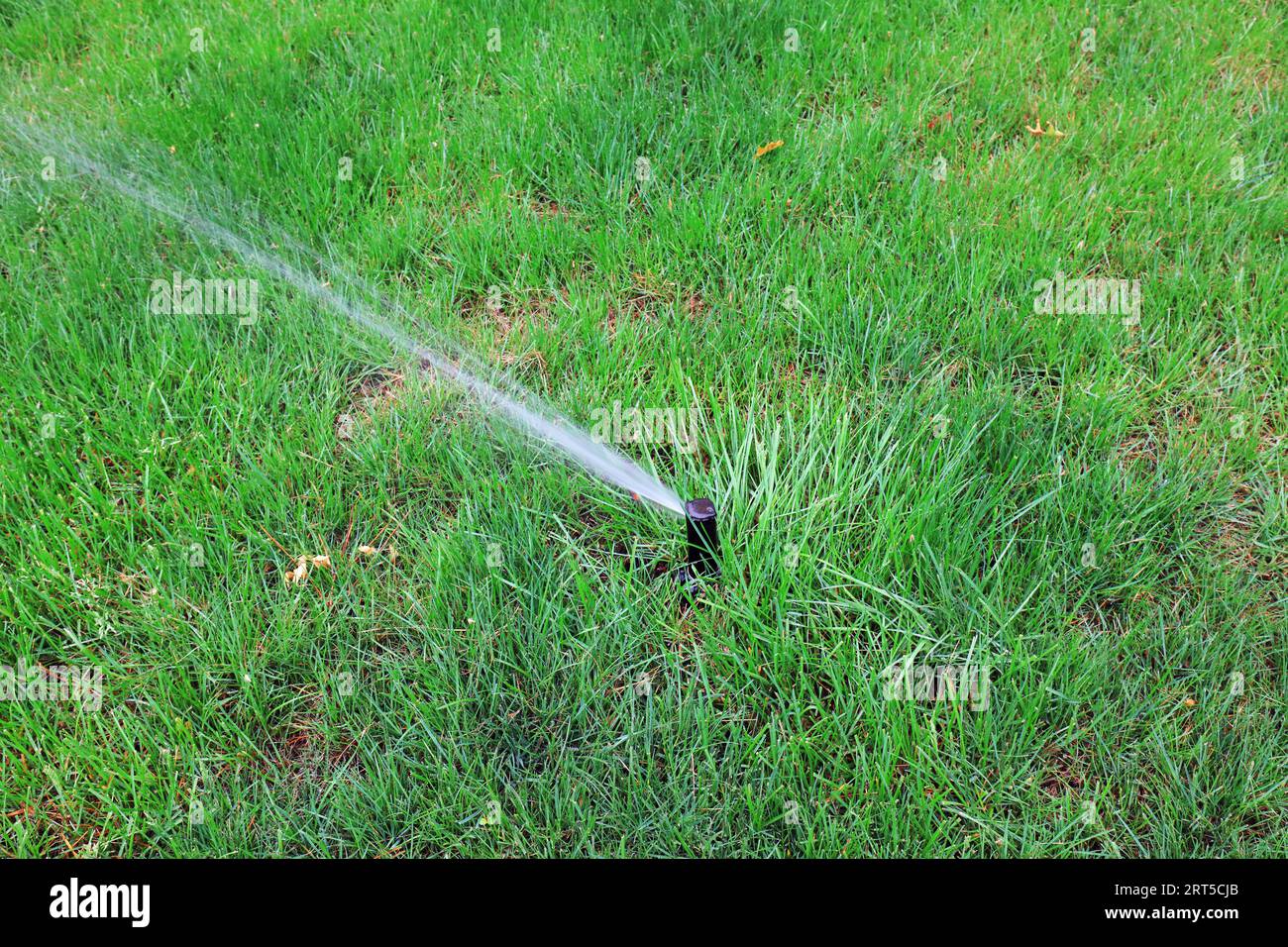 Irrigation Facilities Sprinkler irrigation facilities in hi-res stock photography and images ...