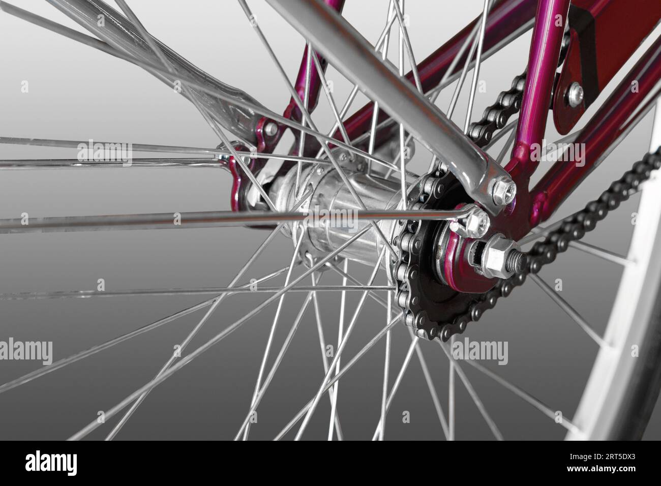 Bicycle rear hub. Close-up. On white background Stock Photo - Alamy