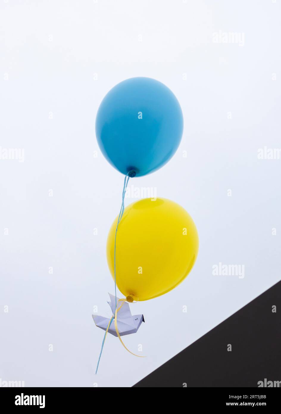 launch a paper dove of peace tied to two yellow-blue balloons in the color of the Ukrainian flag. Support Ukraine. Stop the war. Symbol of peace and f Stock Photo