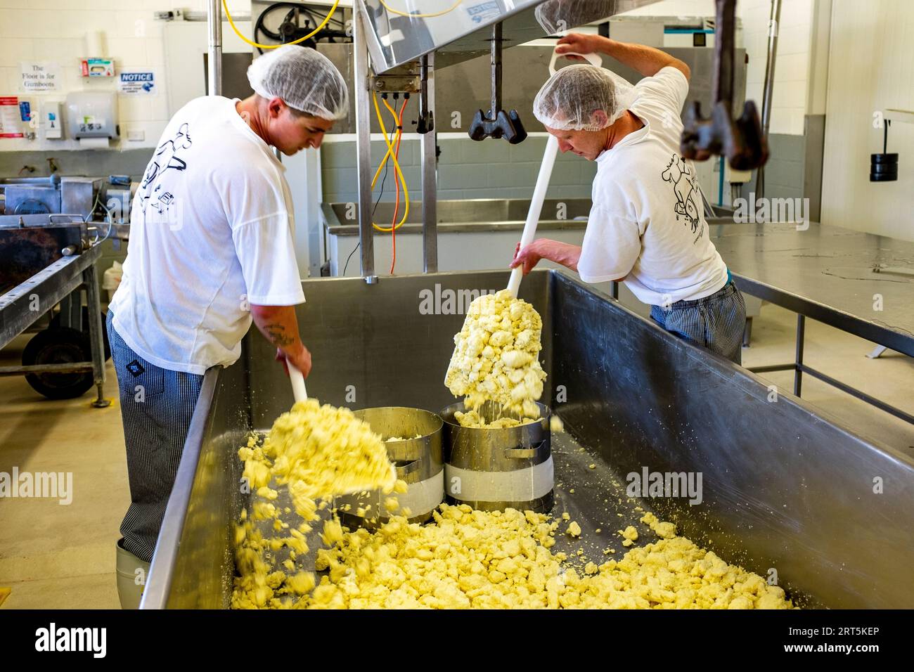 Cheesemakers at work, at awardwinning factory in Pyengana, Tasmania