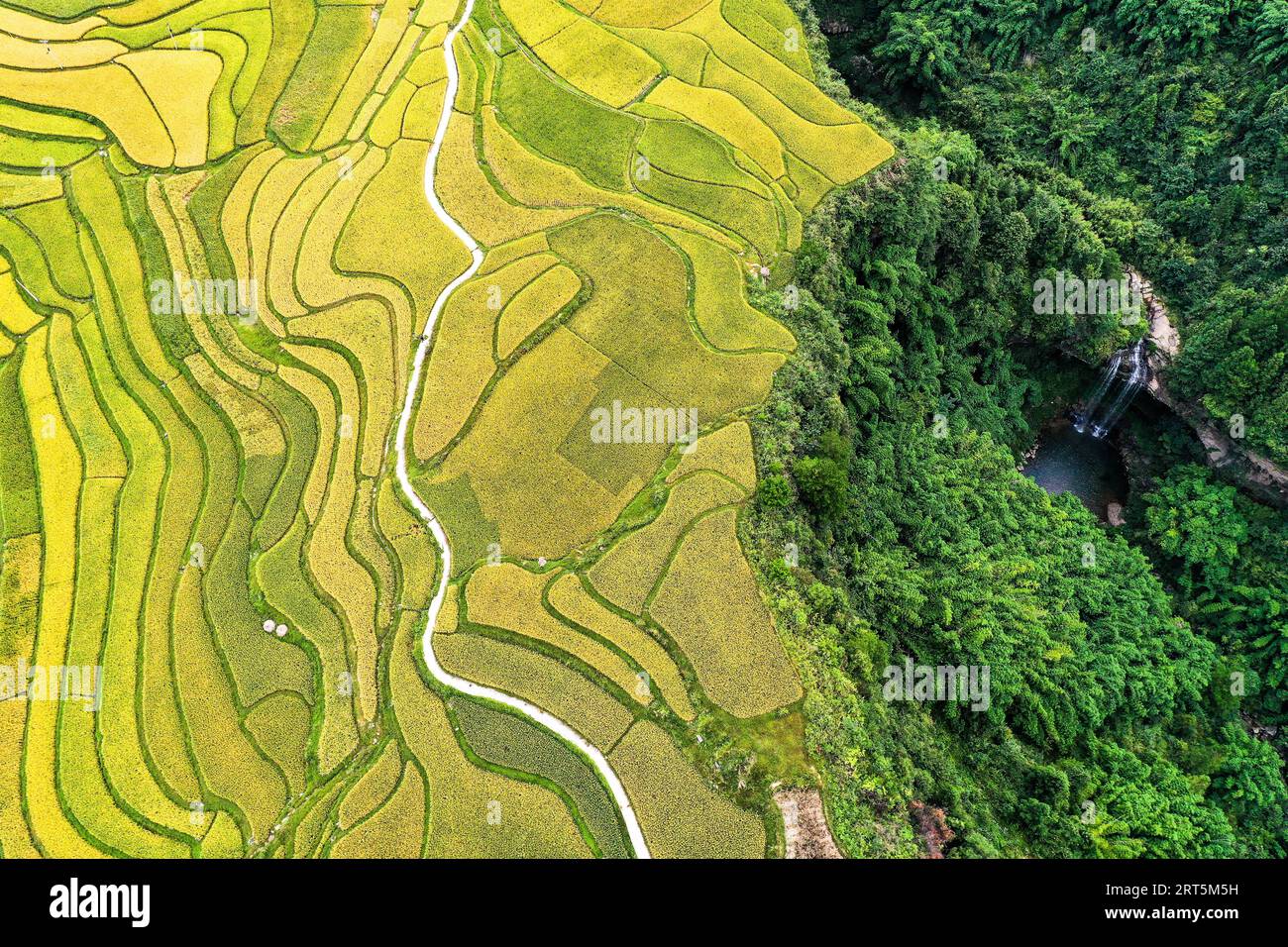 230907 -- GUIDING, Sept. 7, 2023 -- This aerial photo taken on Sept. 7, 2023 shows Lali terraced fields in Yanshan Township of Guiding County, southwest China s Guizhou Province.  CHINA-GUIZHOU-GUIDING-TERRACED FIELDS CN YangxWenbin PUBLICATIONxNOTxINxCHN Stock Photo