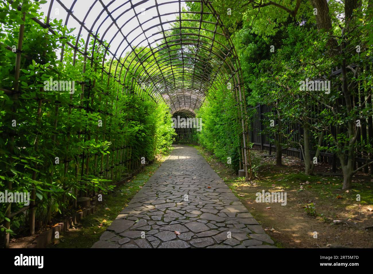 Shot alley in garden hi-res stock photography and images - Alamy