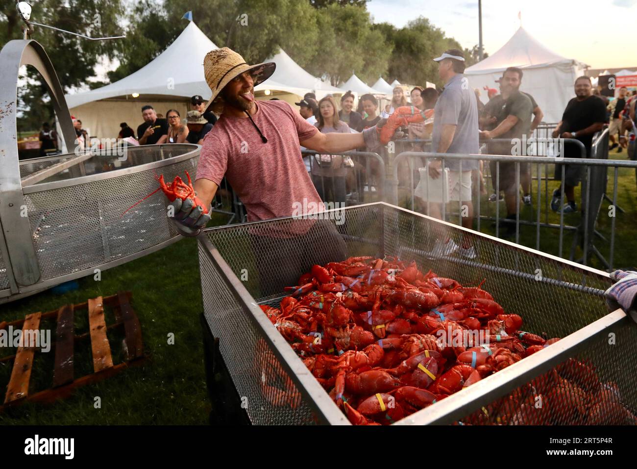 230909 FOUNTAIN VALLEY, Sept. 9, 2023 Cooked lobsters are seen