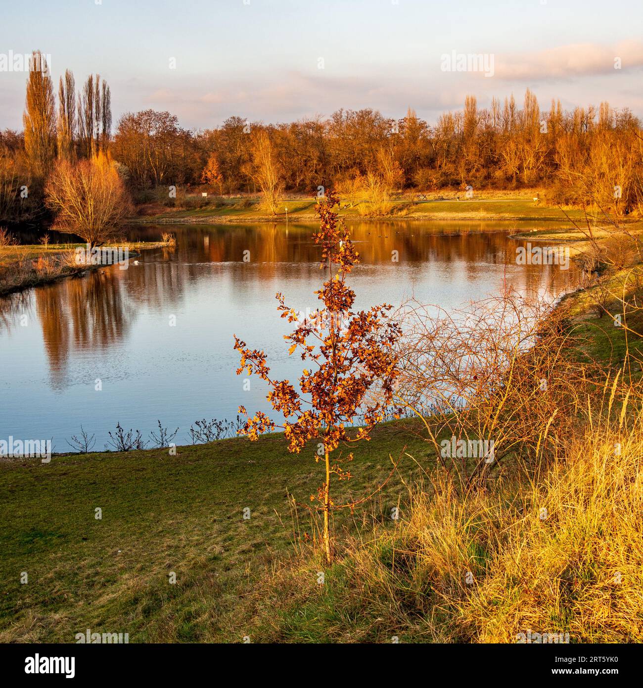 Photo of a beautiful lake with trees in the landscape Stock Photo - Alamy
