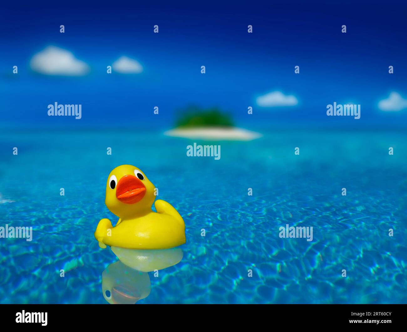 Palawan Islands - rubber duck. Stock Photo