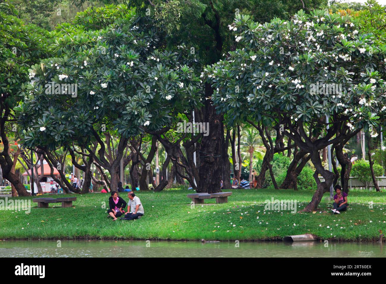 People in Lumpini Park, Bangkok. Stock Photo