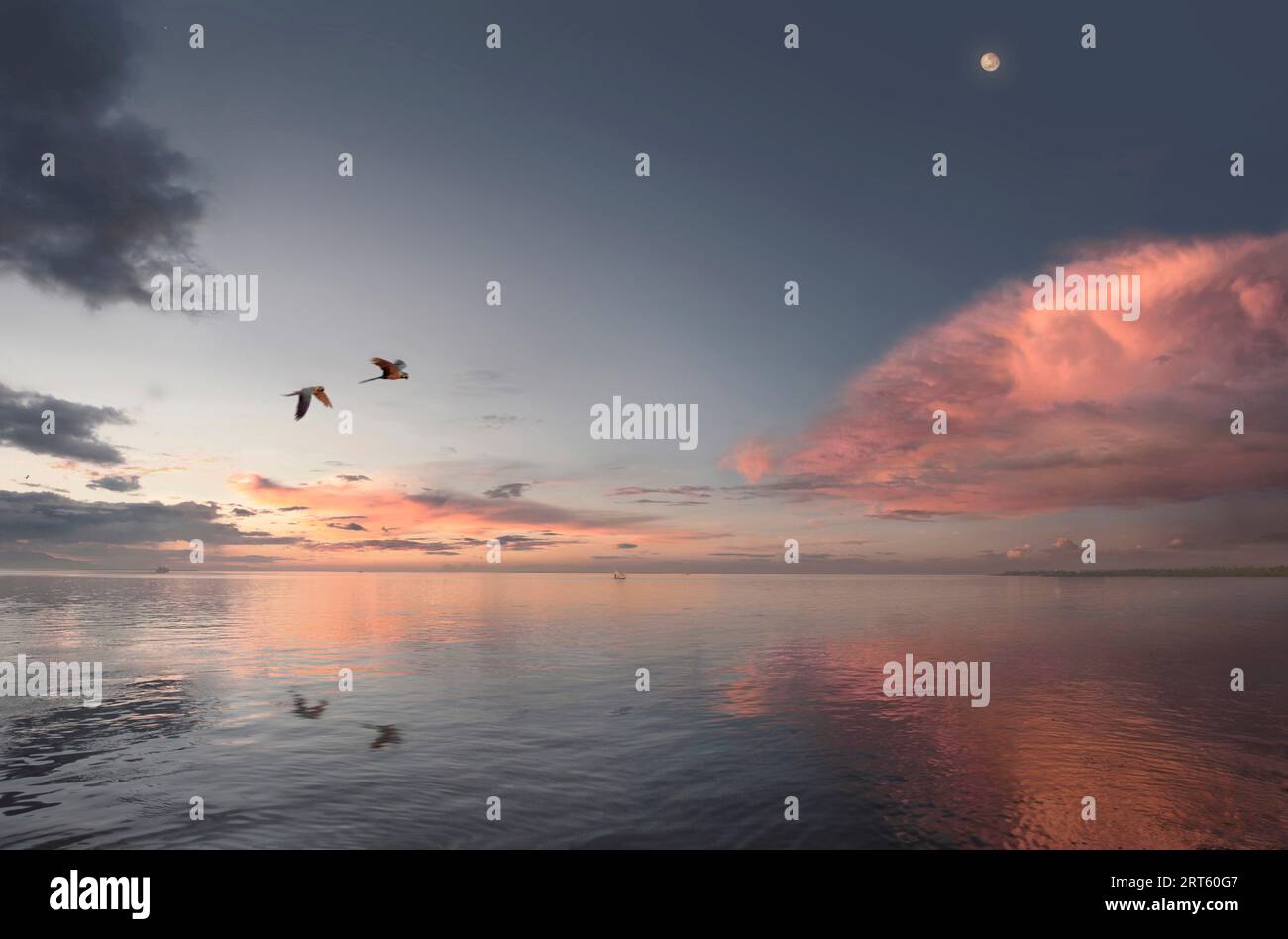 Macaw parrots flying over the Amazon River at sunset. Stock Photo