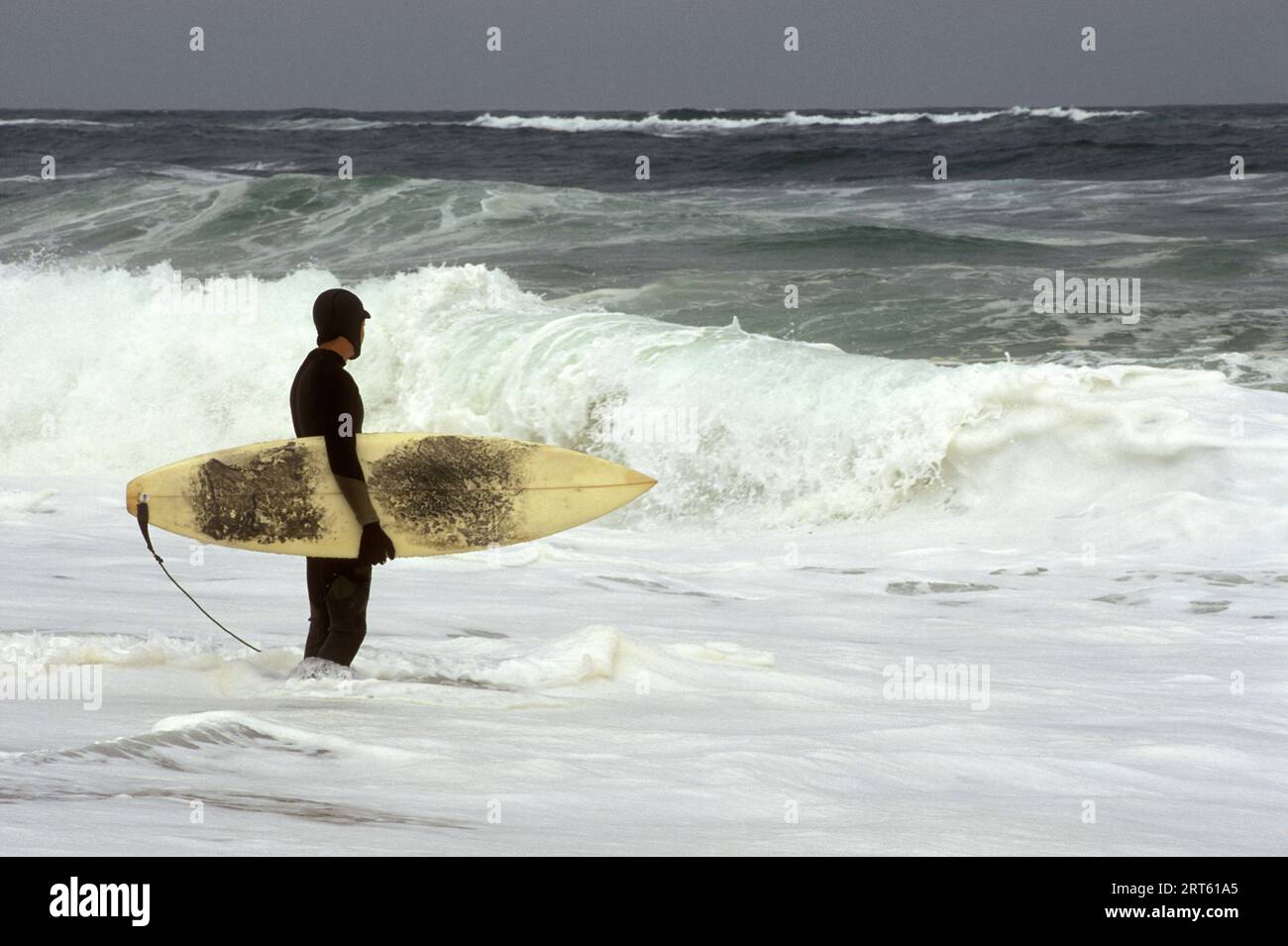 Surfing dedication hi-res stock photography and images - Alamy