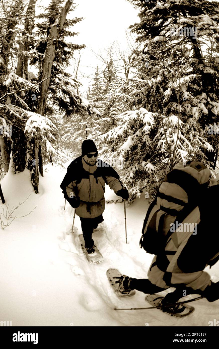 Snowshoeing in the woods, New Hampshire, New England Stock Photo Alamy