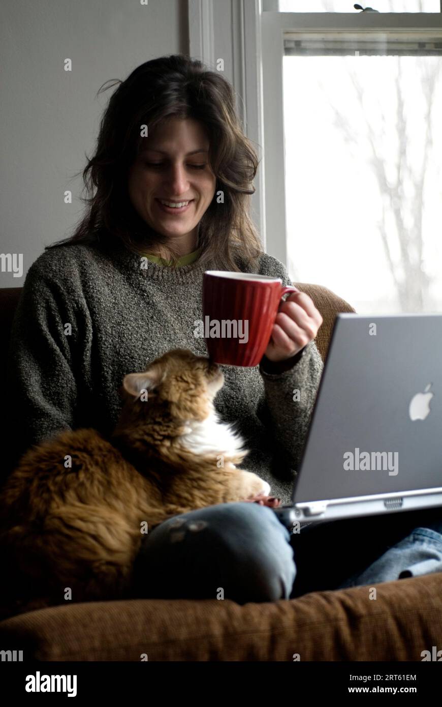 Woman relaxes on a chair with her cat while working on a laptop. Stock Photo