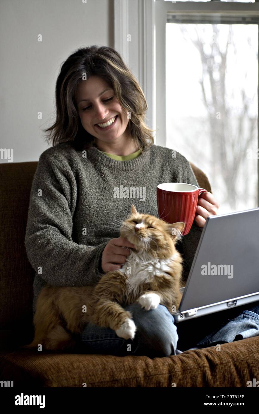 Woman relaxes on a chair with her cat while working on a laptop. Stock Photo