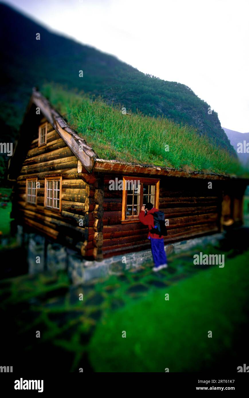 Woman peeks into grass roofed log home, Norway. Stock Photo