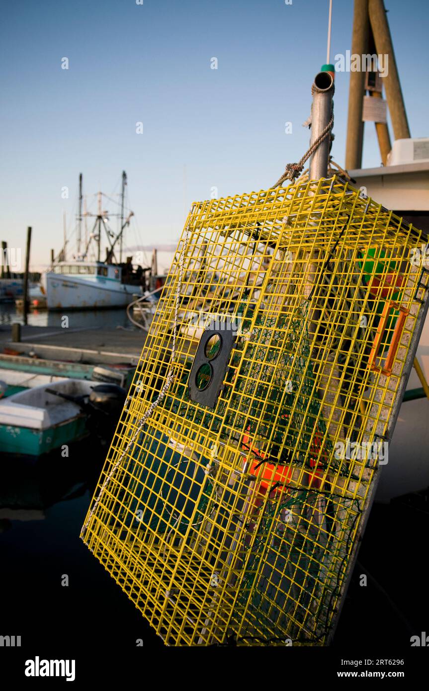 Detail of lobster trap, Casco Bay, Maine Stock Photo Alamy