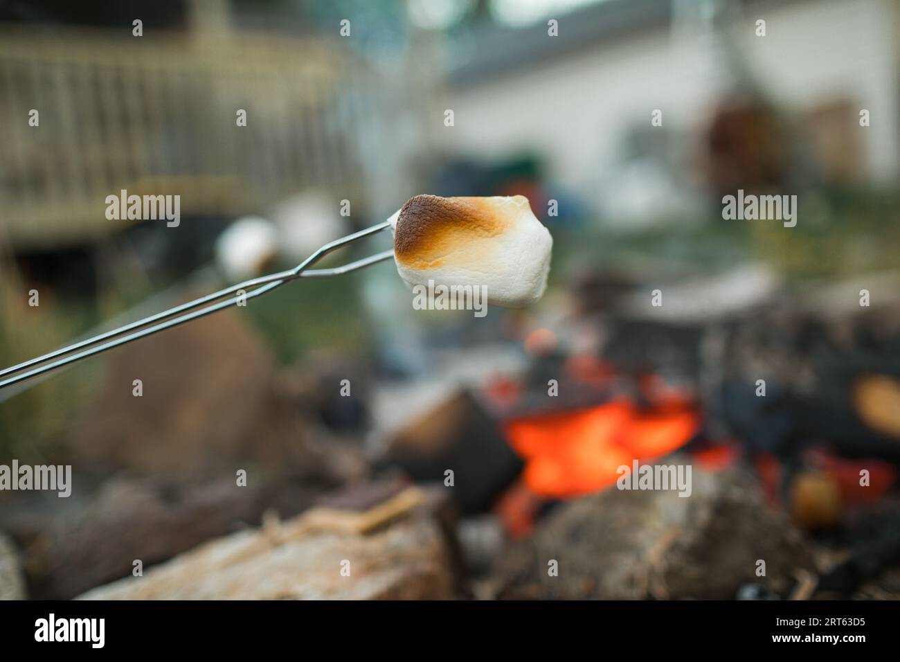 Golden marshmallow on skewer, campfire behind Stock Photo