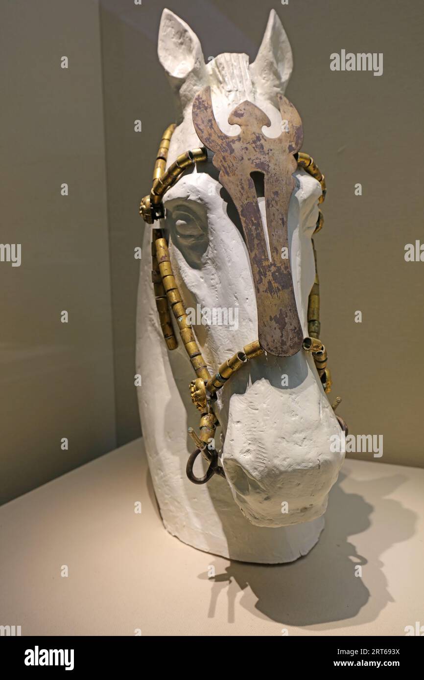 Ancient Chinese Horsehead Cultural Relics Stock Photo