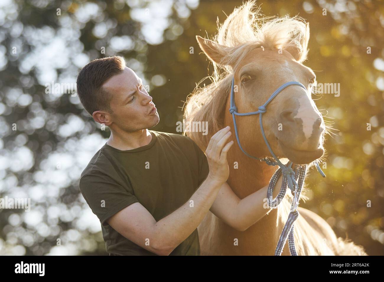 Portrait of man calming horse during obedience training on sunny summer day. Stock Photo