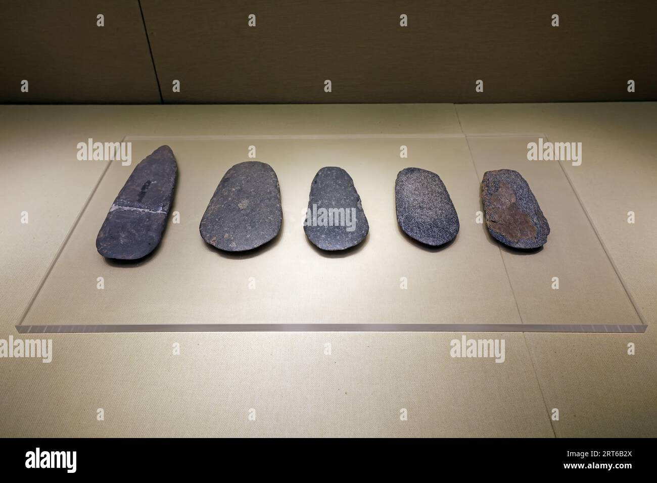 Ancient Chinese Stone Artifacts in the Exhibition Hall Stock Photo