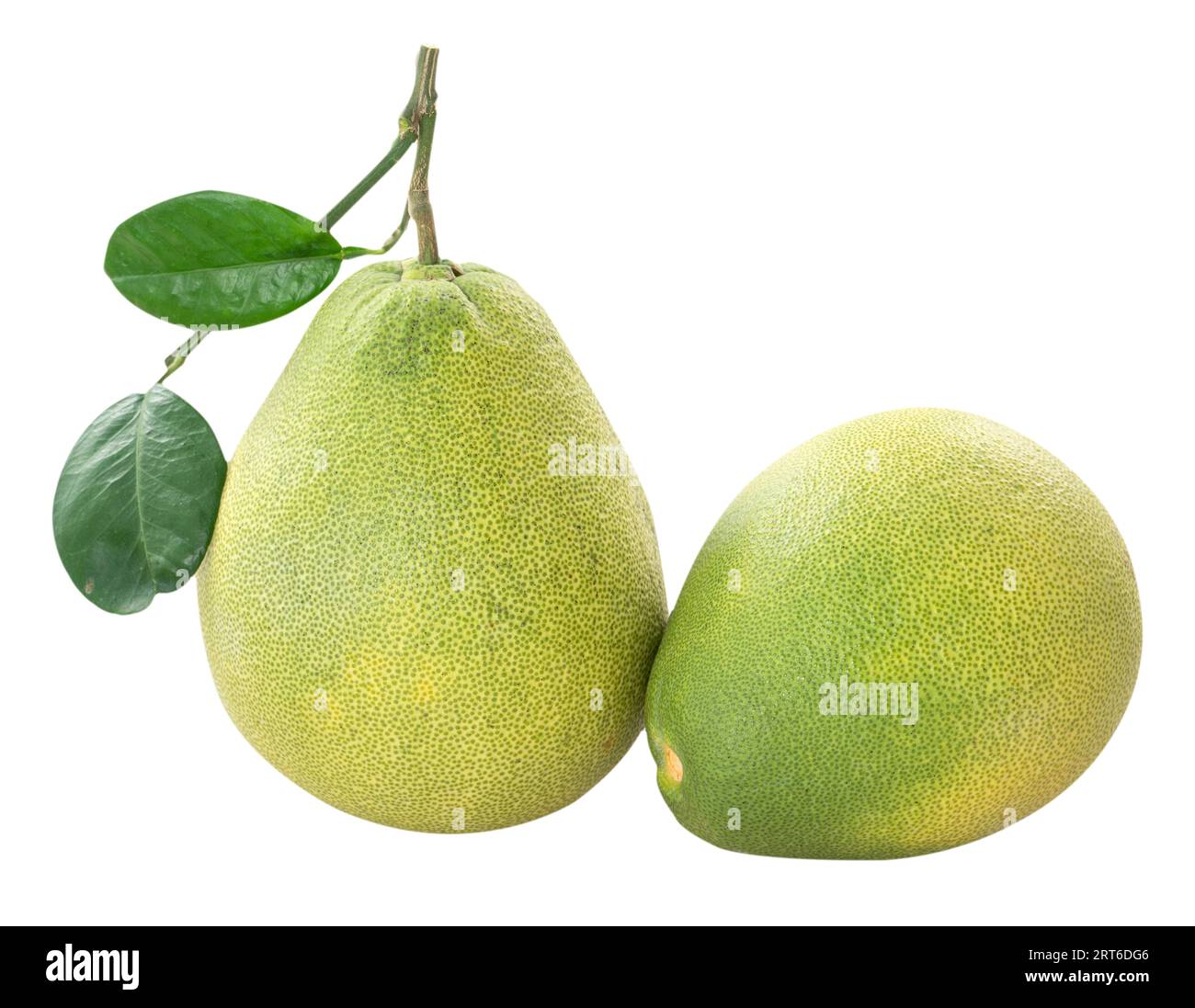 Fresh peeled pomelo, pummelo, grapefruit, shaddock isolated on white background, clipping path