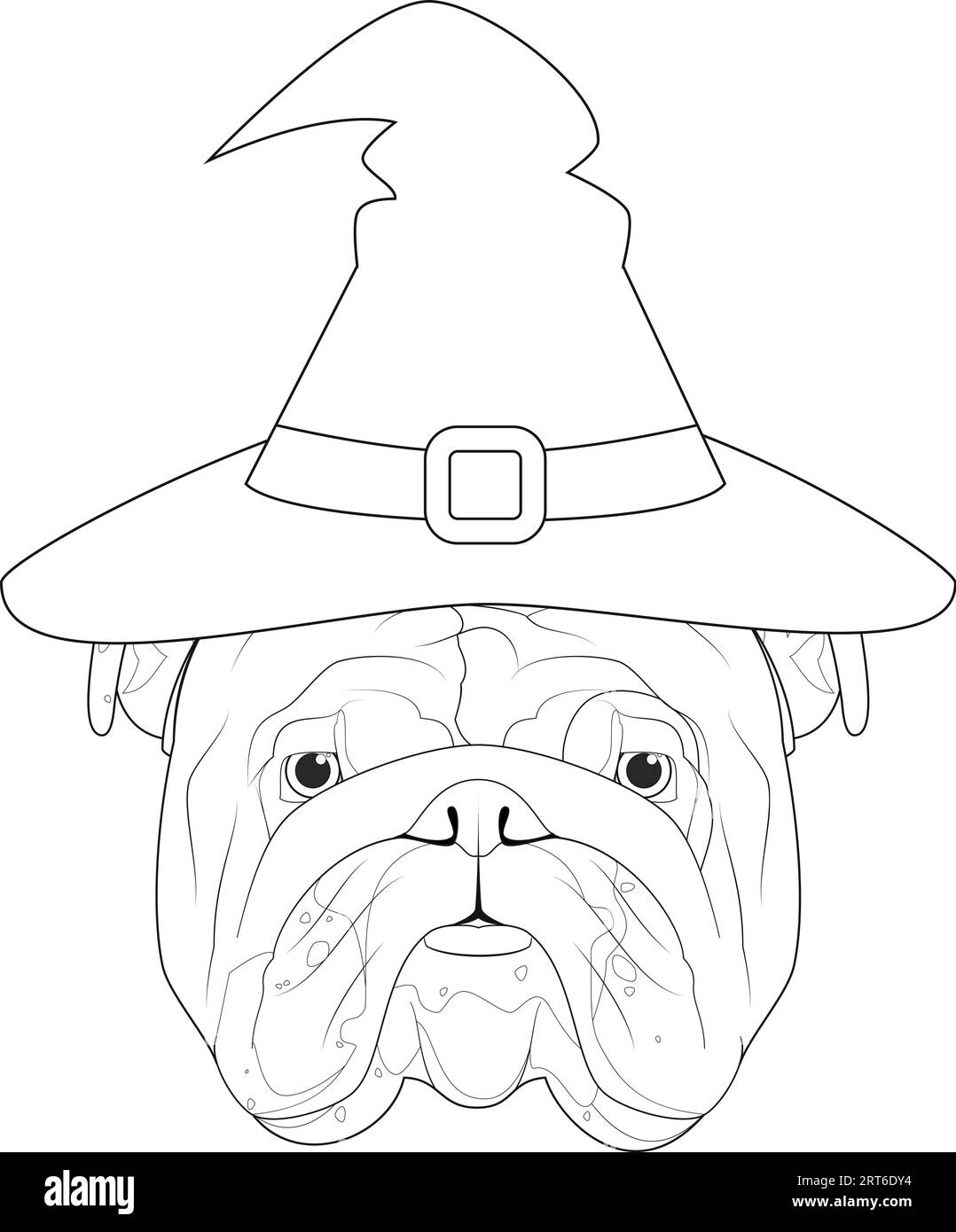 Halloween greeting card for coloring. English Bulldog dog dressed as a witch with black hat Stock Vector