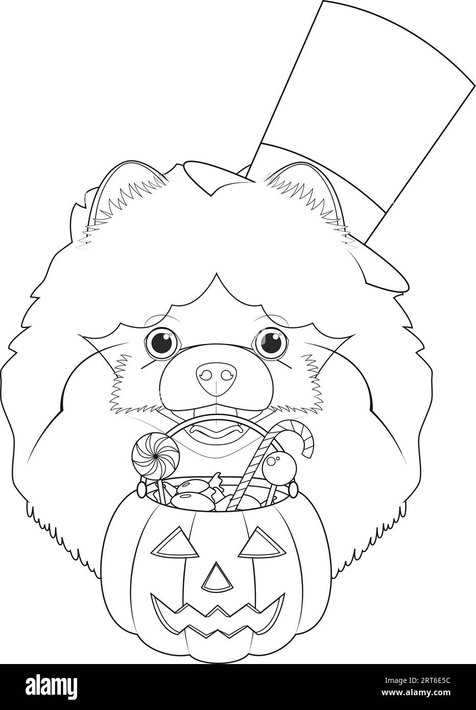 Halloween greeting card for coloring. Pomeranian dog with top hat, mask and a pumpkin with candies in the mouth Stock Vector