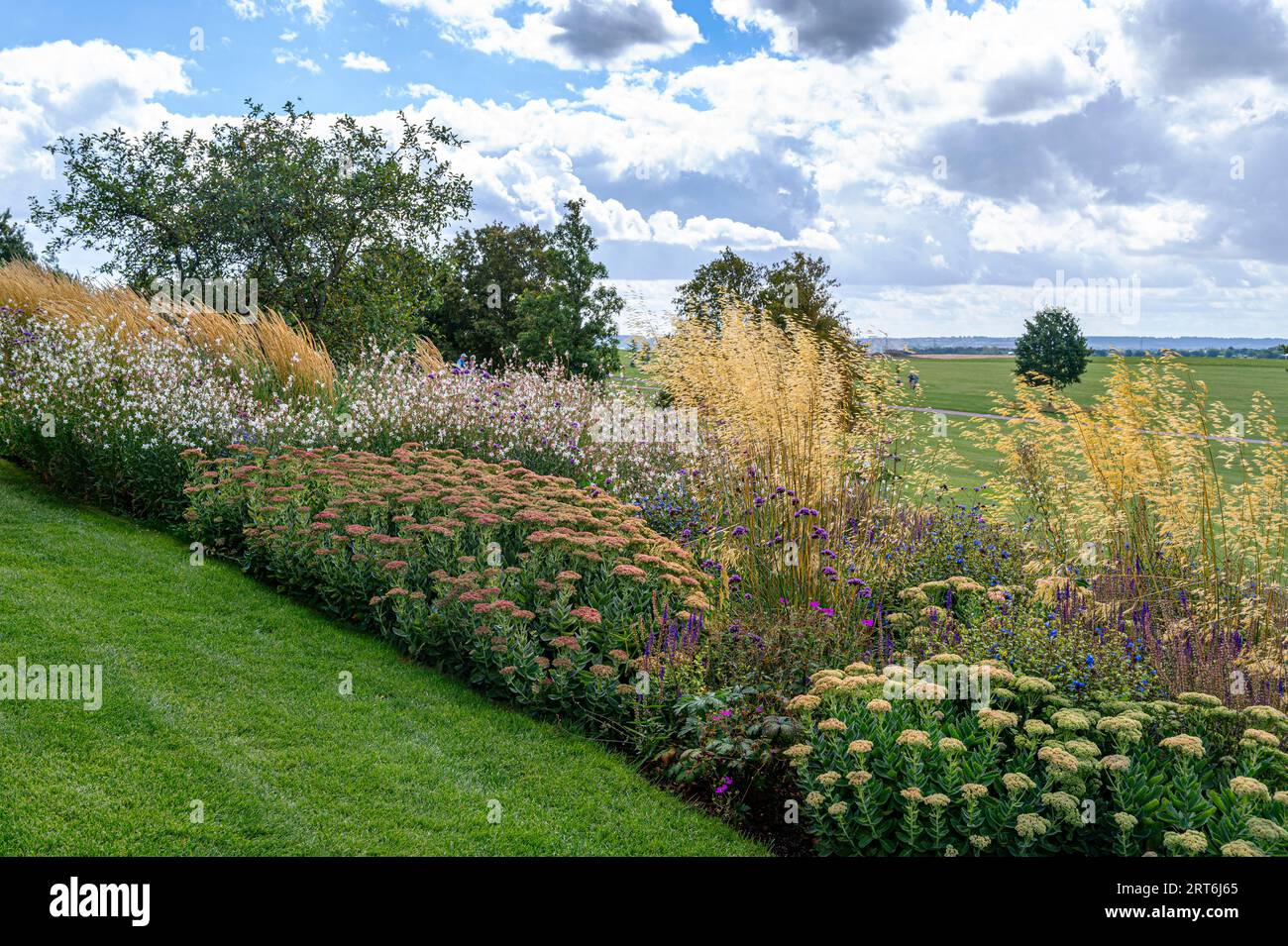 Late summer flower border at RHS Hyde Hall. Stock Photo