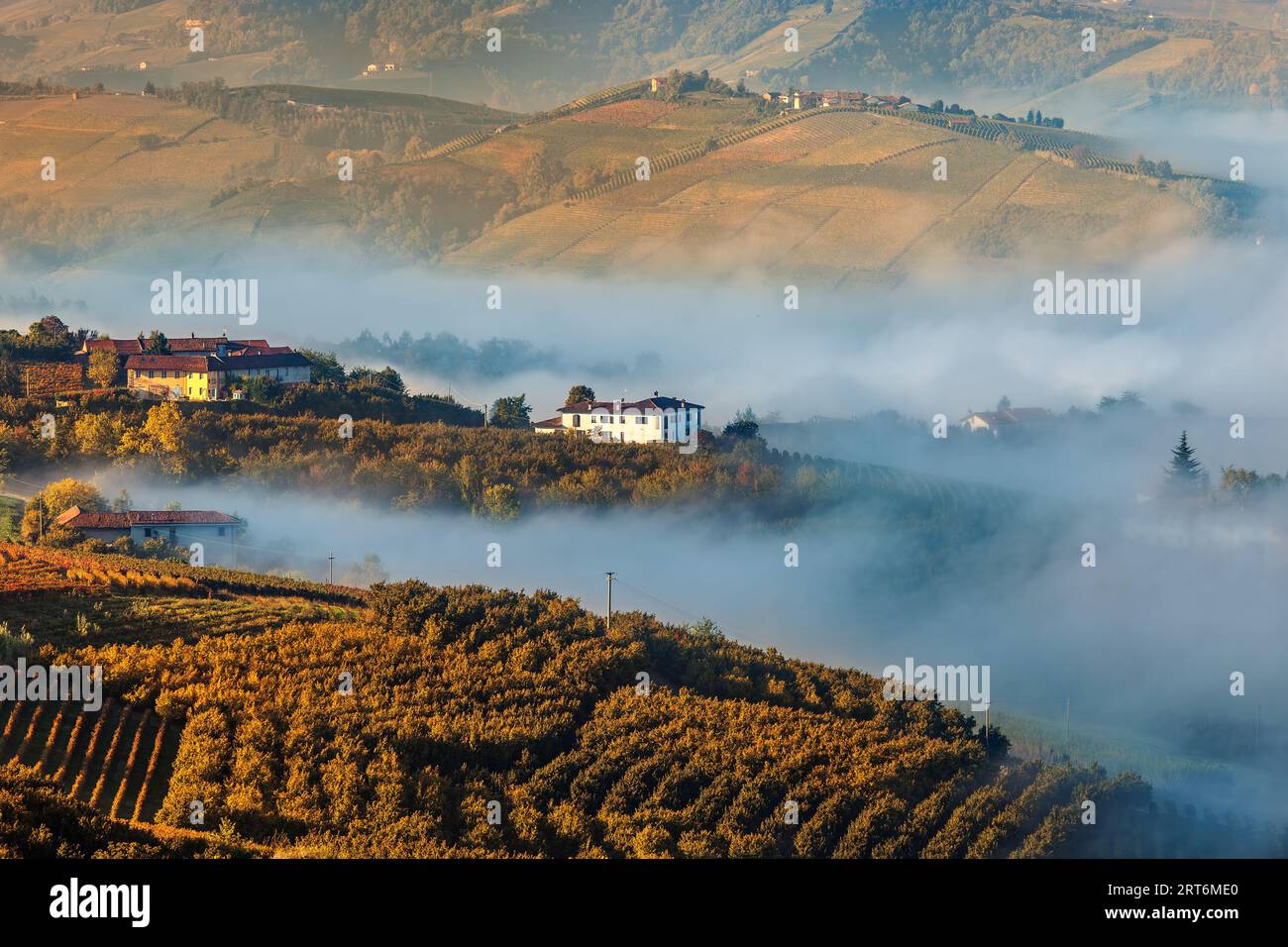 Aerial view of the morning fog over the hills with autumnal vineyards in Piedmont, Italy. Stock Photo