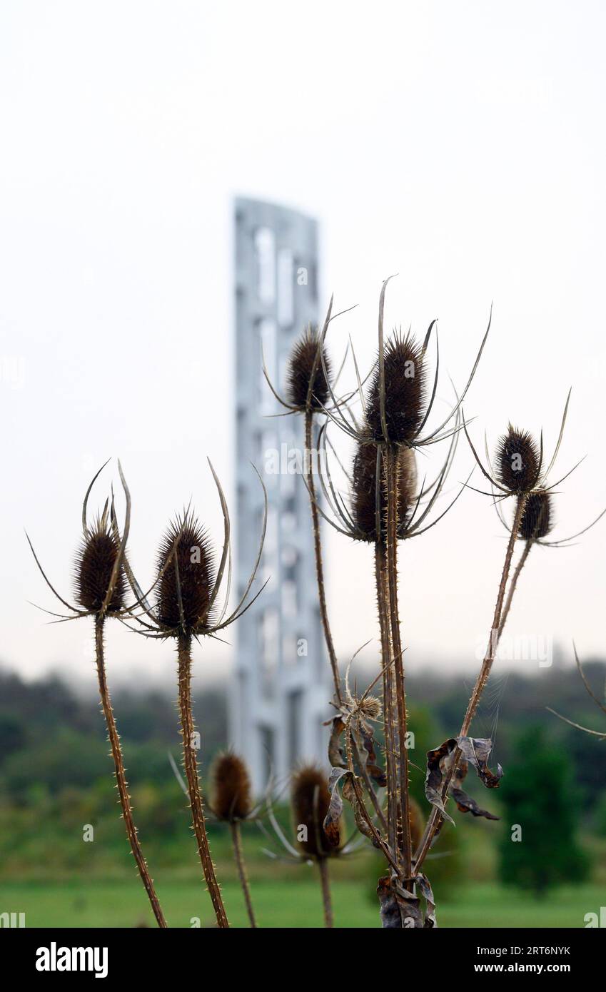 Shanksville, United States. 11th Sep, 2023. Wildflowers grow near the Tower of Voices, a 93 foot tower with wind chimes near the entrance of the Flight 93 National Memorial on Monday, September 11, 2023 near Shanksville, Pennsylvania . Photo by Archie Carpenter/UPI Credit: UPI/Alamy Live News Stock Photo