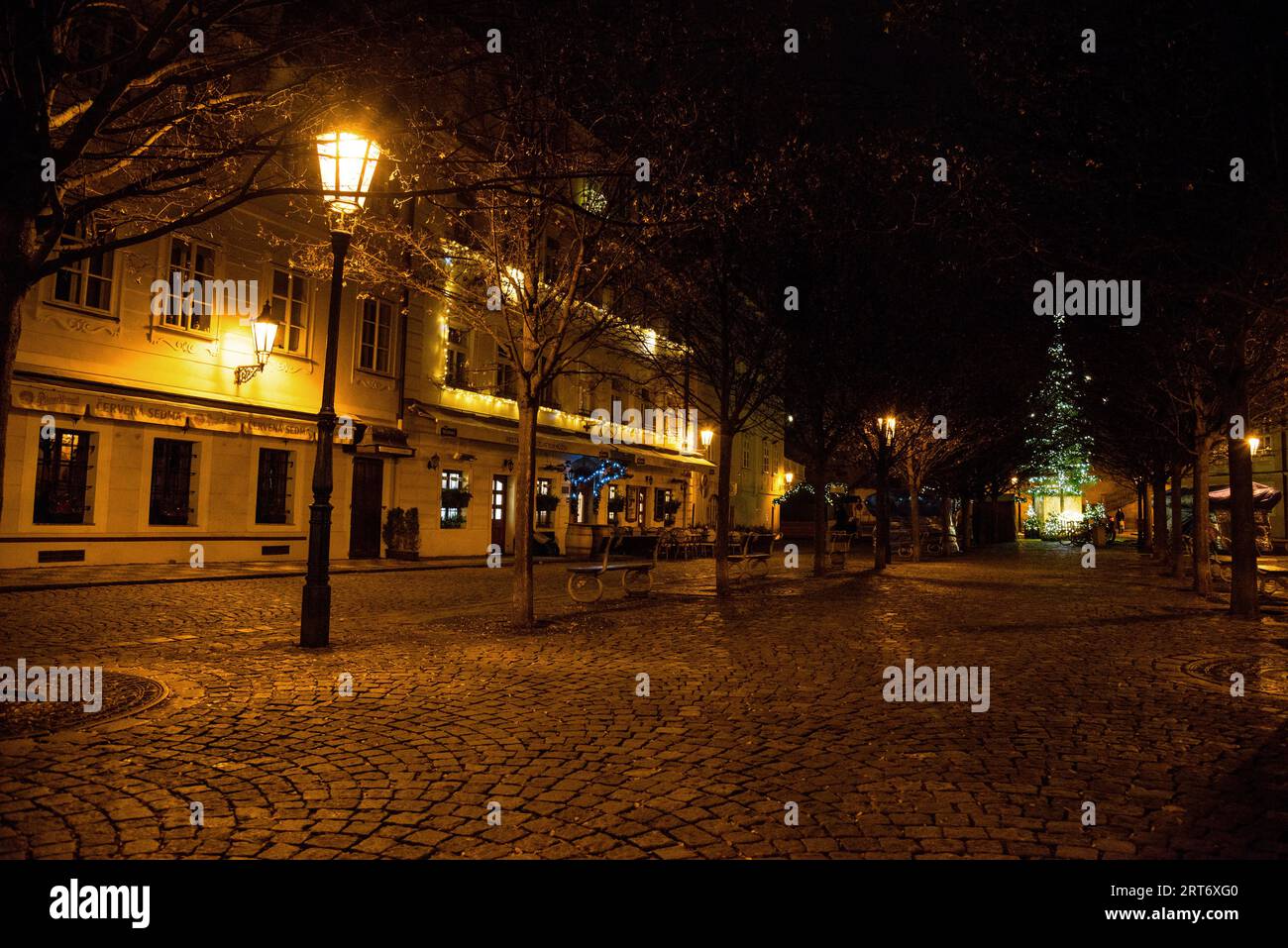 Tree lined cobblestoned Na Kampe Square near the Charles Bridge, Kampa Island, Prague, Czech Republic. Stock Photo