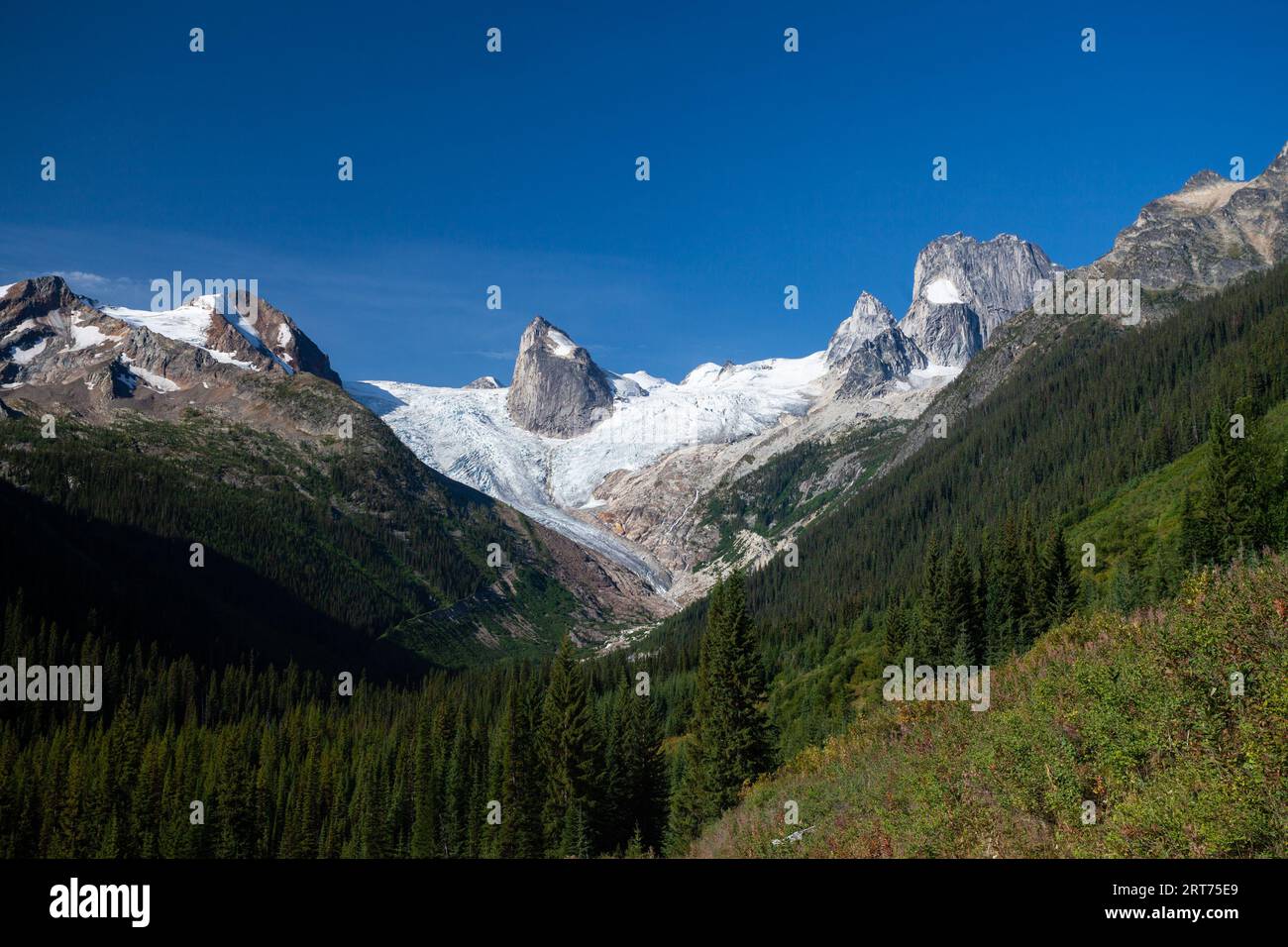 Glaciers and Spires in Bugaboo Park in British Columbia, Canada Stock Photo