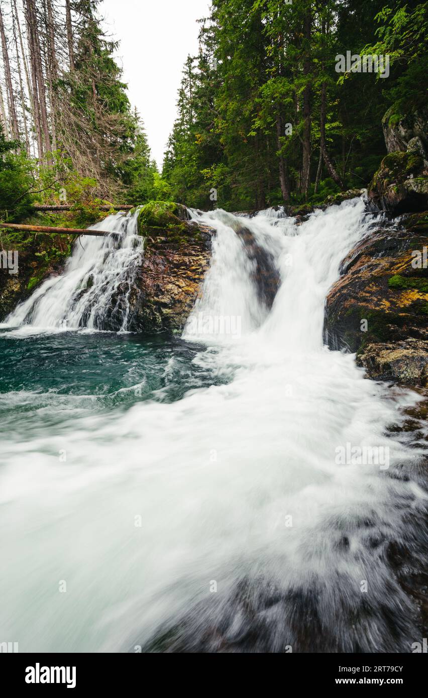 Strong stream of mountain waterfall in green forest - wide angle vertical shot. Beautiful and power waterfall with turquoise water - stones and rocks Stock Photo