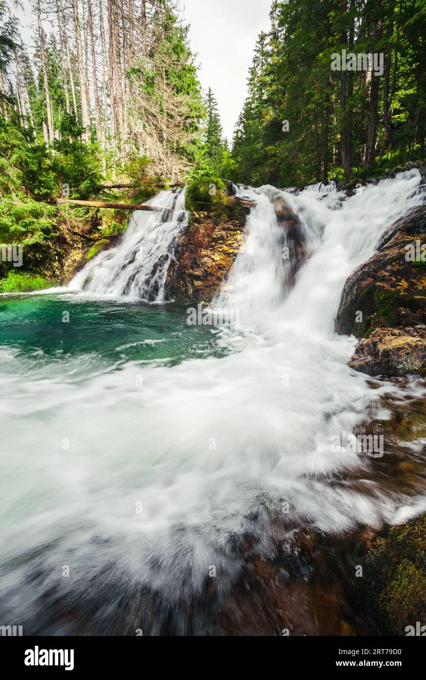 Strong stream of mountain waterfall in green forest - wide angle vertical shot. Beautiful and power waterfall with turquoise water - stones and rocks Stock Photo