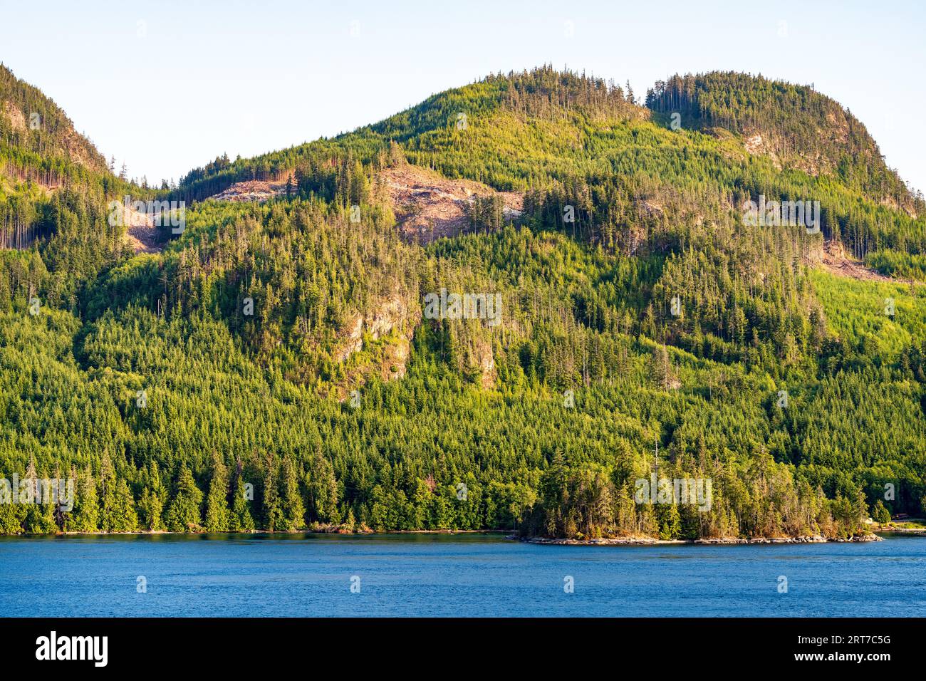 Vancouver Island mountainside shows scars from sustainable logging, seen from 'Inside Passage' cruise to Alaska. Stock Photo