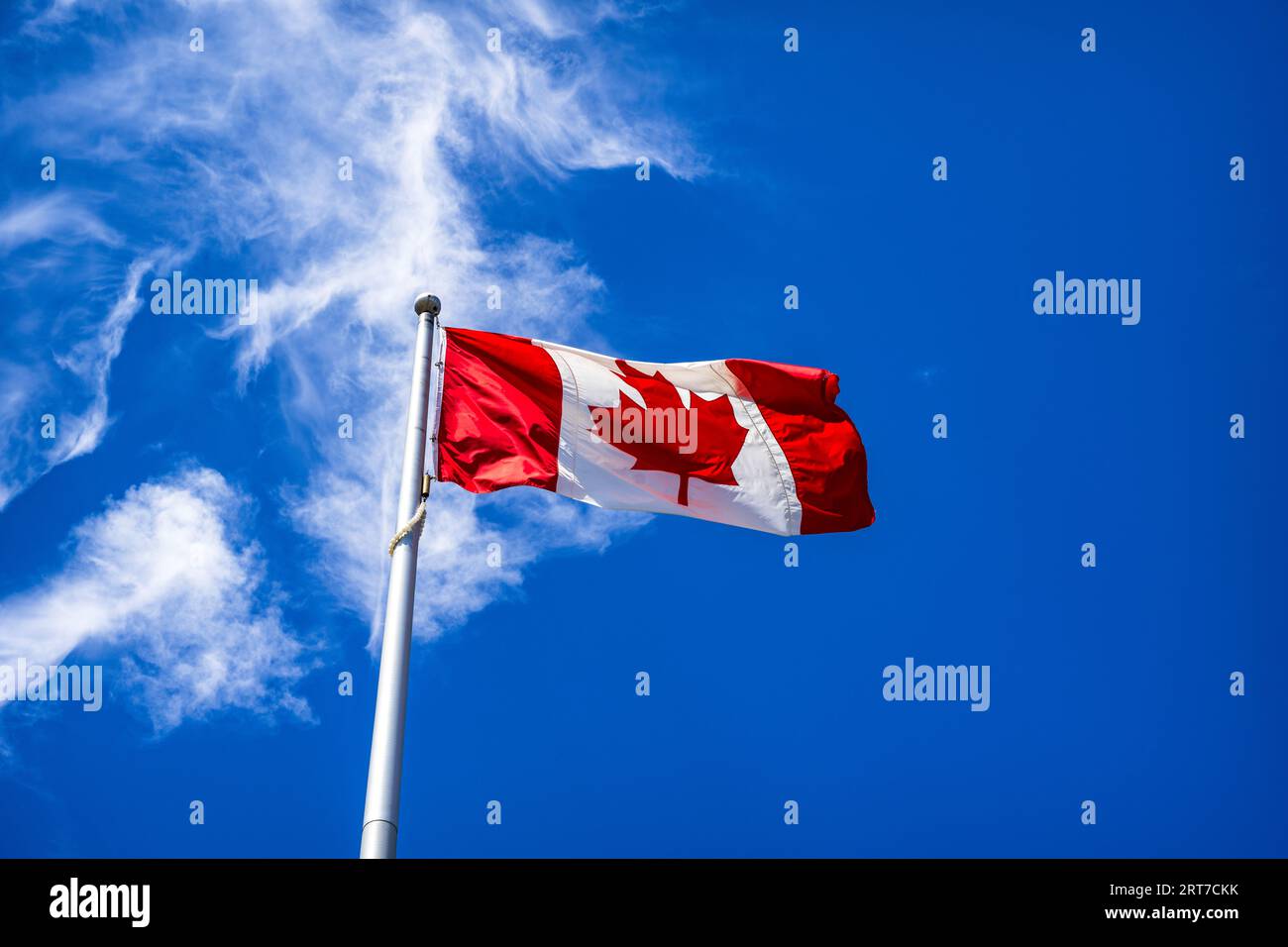 The flag of Canada, flying at Queen Elizabeth Park, Vancouver BC