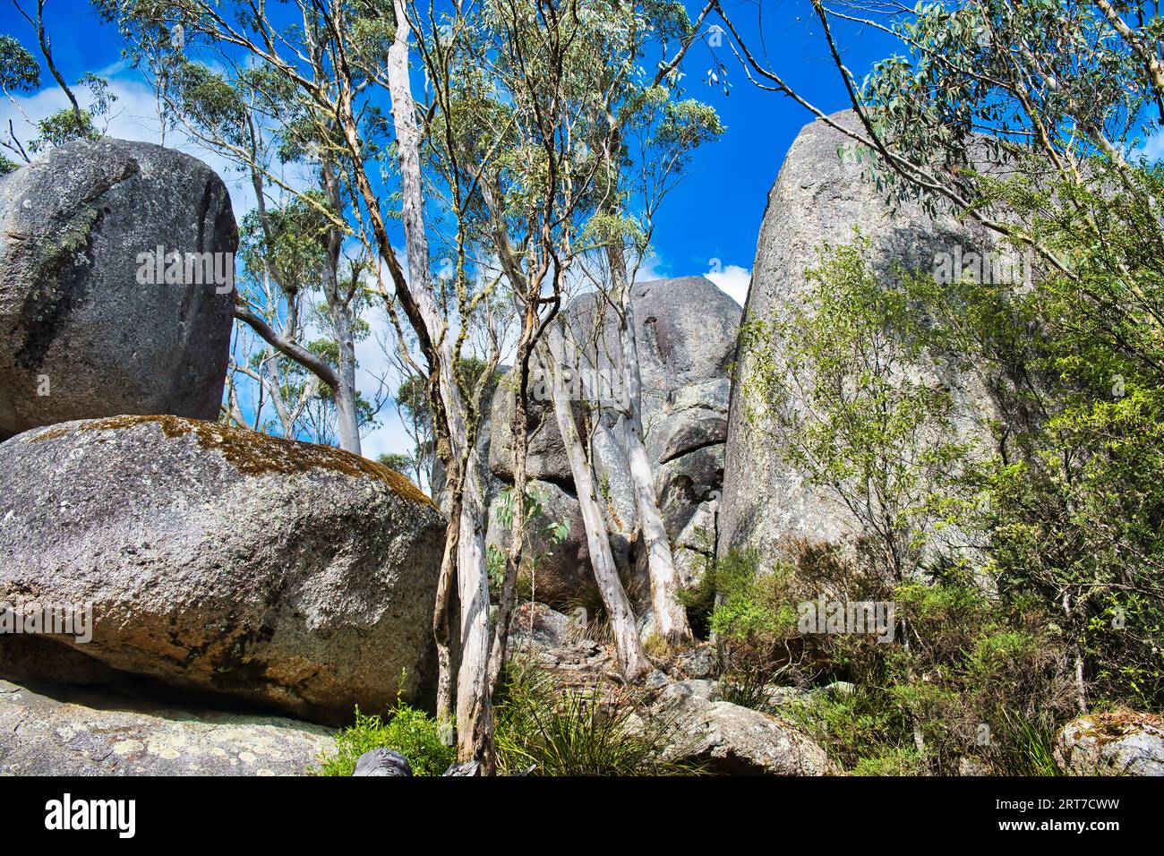 Castle Rock Perth Huge granite boulders and eucalyptus trees along the Castle Rock Trail ...
