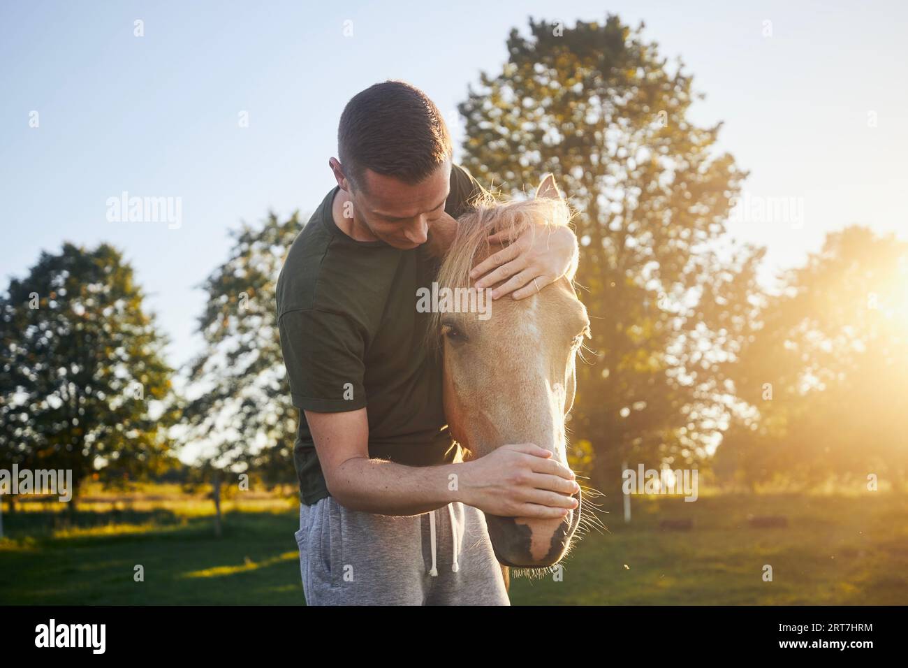 Man is embracing of therapy horse on meadow at sunset. Themes hippo therapy, care and friendship between people and animals. Stock Photo