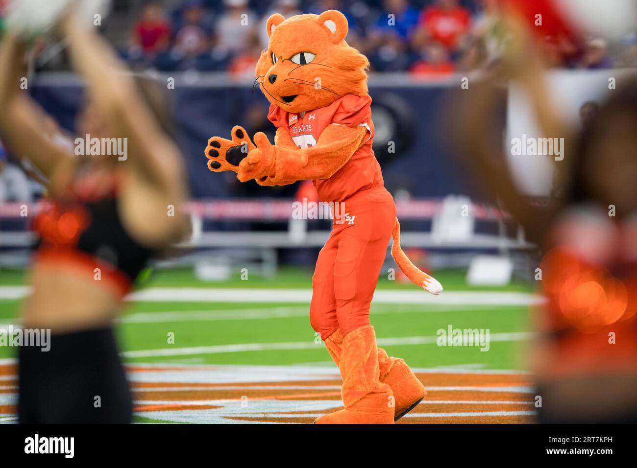 September 9 2023: Sam Houston State Bearkats mascot Sammy Bearkat