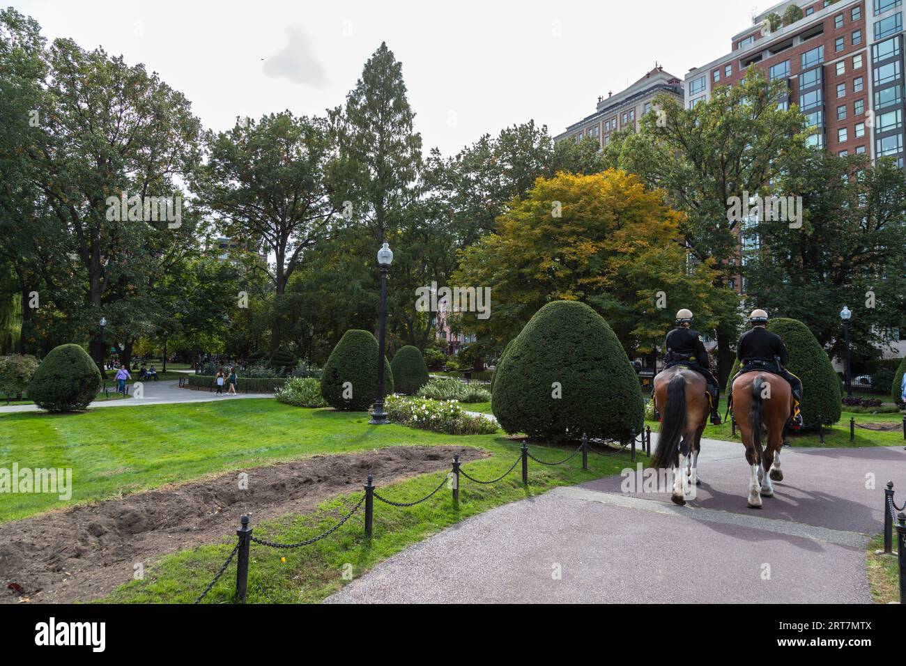 Boston police horse hi-res stock photography and images - Alamy