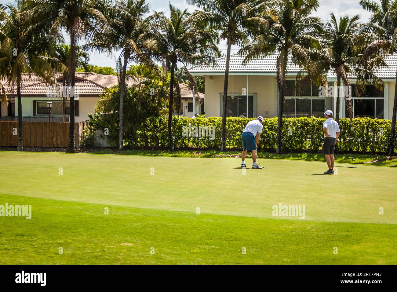 People playing golf, Miami, Florida, USA Stock Photo - Alamy