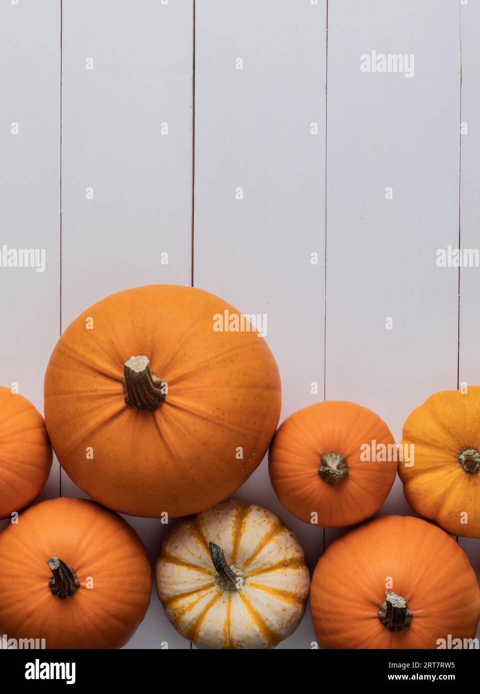 Many pumpkins top view border frame banner design over a rustic white ...