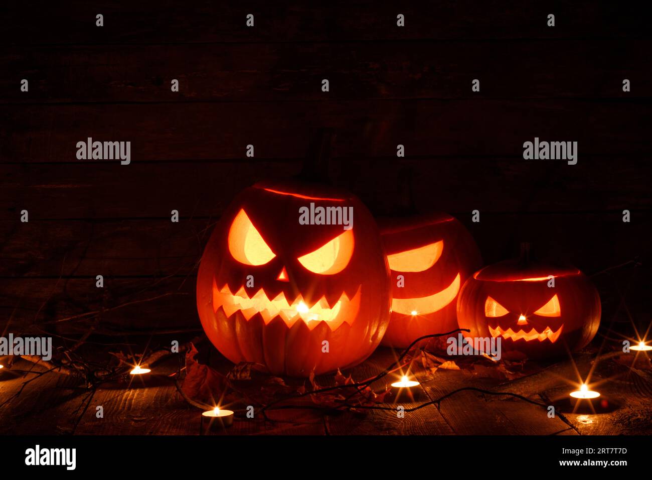 Halloween pumpkins head jack o lantern, candles and dry maple leaves in ...