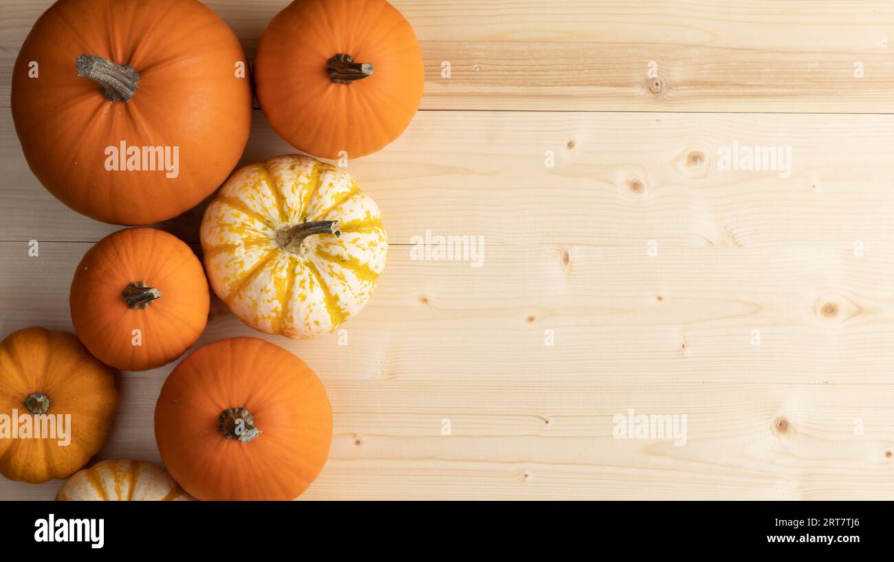 Many pumpkins top view border frame banner design over a rustic white ...