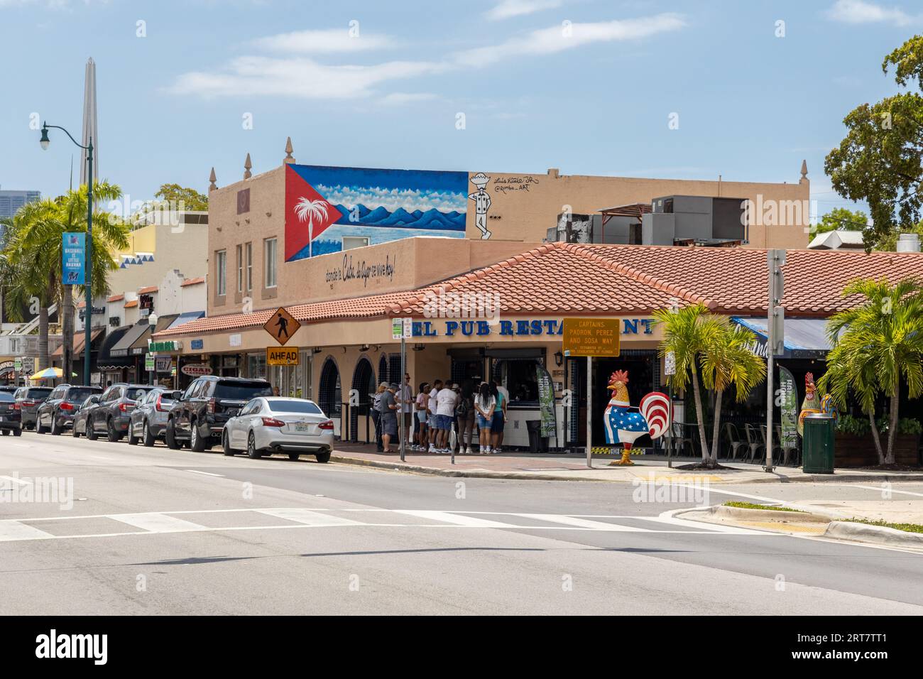 Miami, Florida August 25th, 2023 Large gallo (rooster) located right