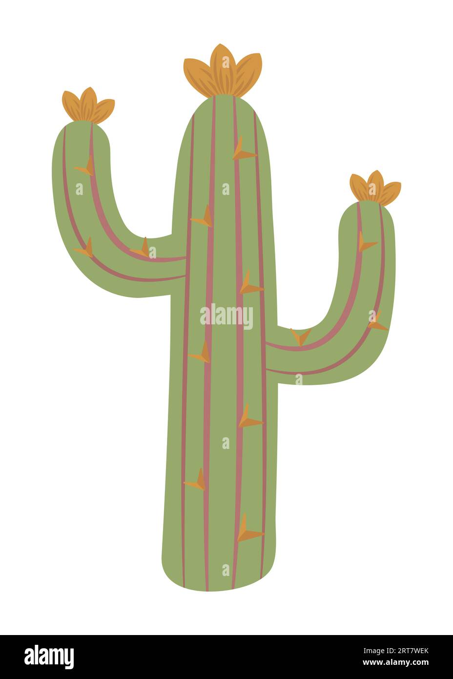 Cactus in boho style, color vector illustration of wild west Stock Vector