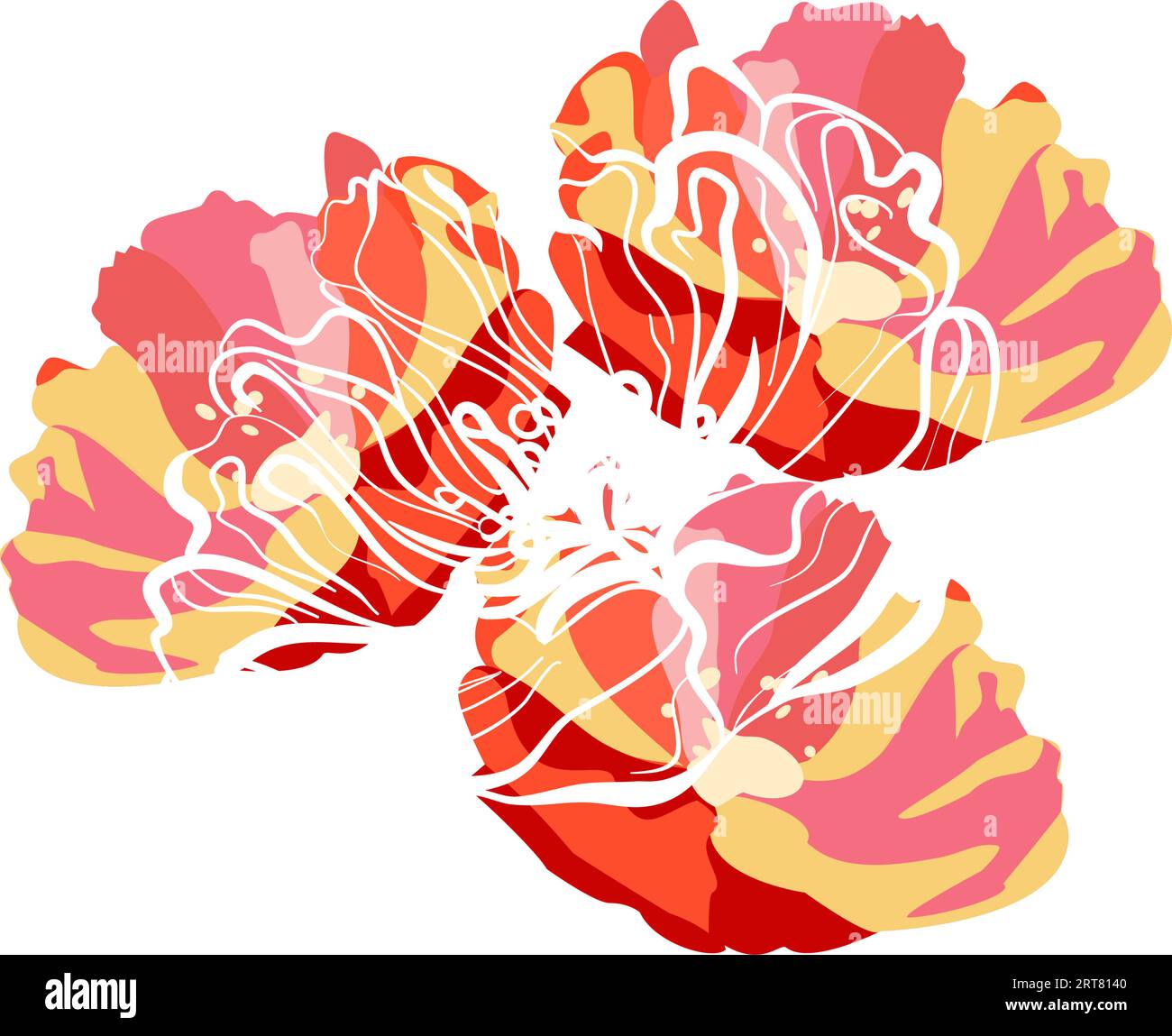 Red poppies flower heads with outline vector illustration Stock Vector