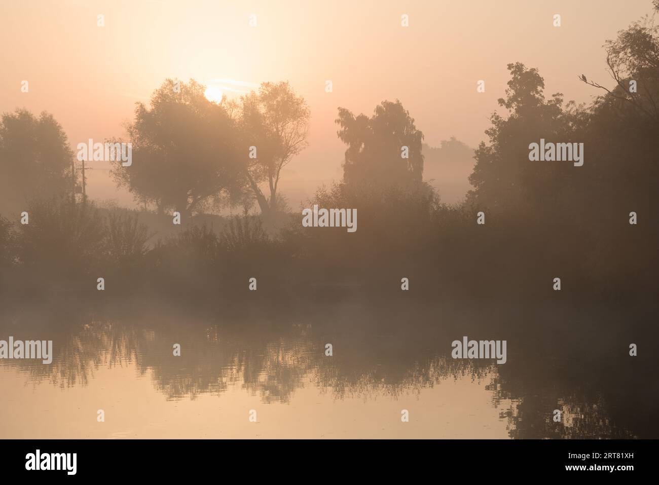 Sunrise over a lake with trees shrouded in early morning mist Stock ...