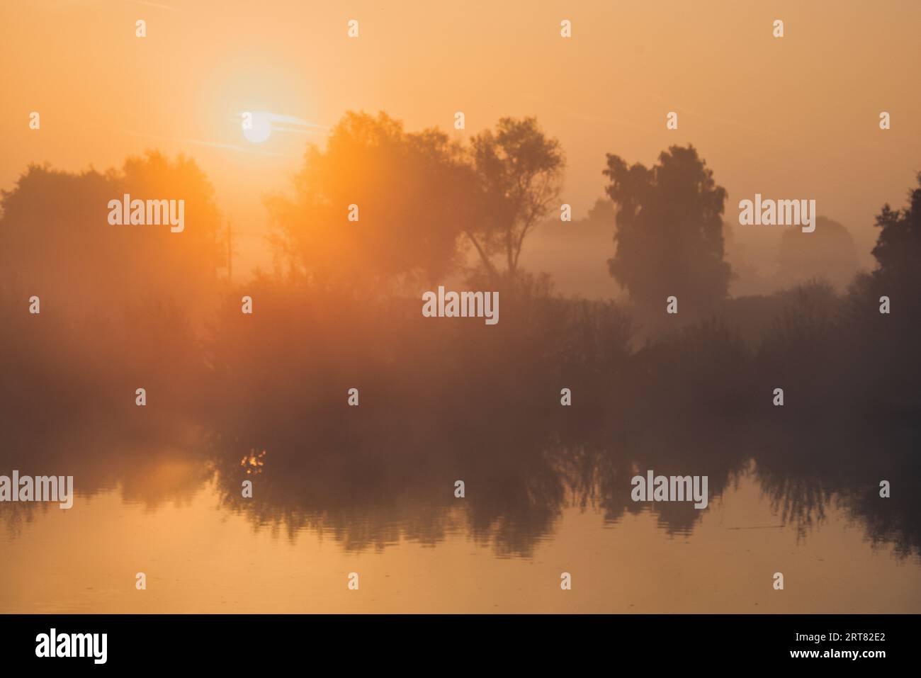 Sunrise over a lake with trees shrouded in early morning mist Stock ...