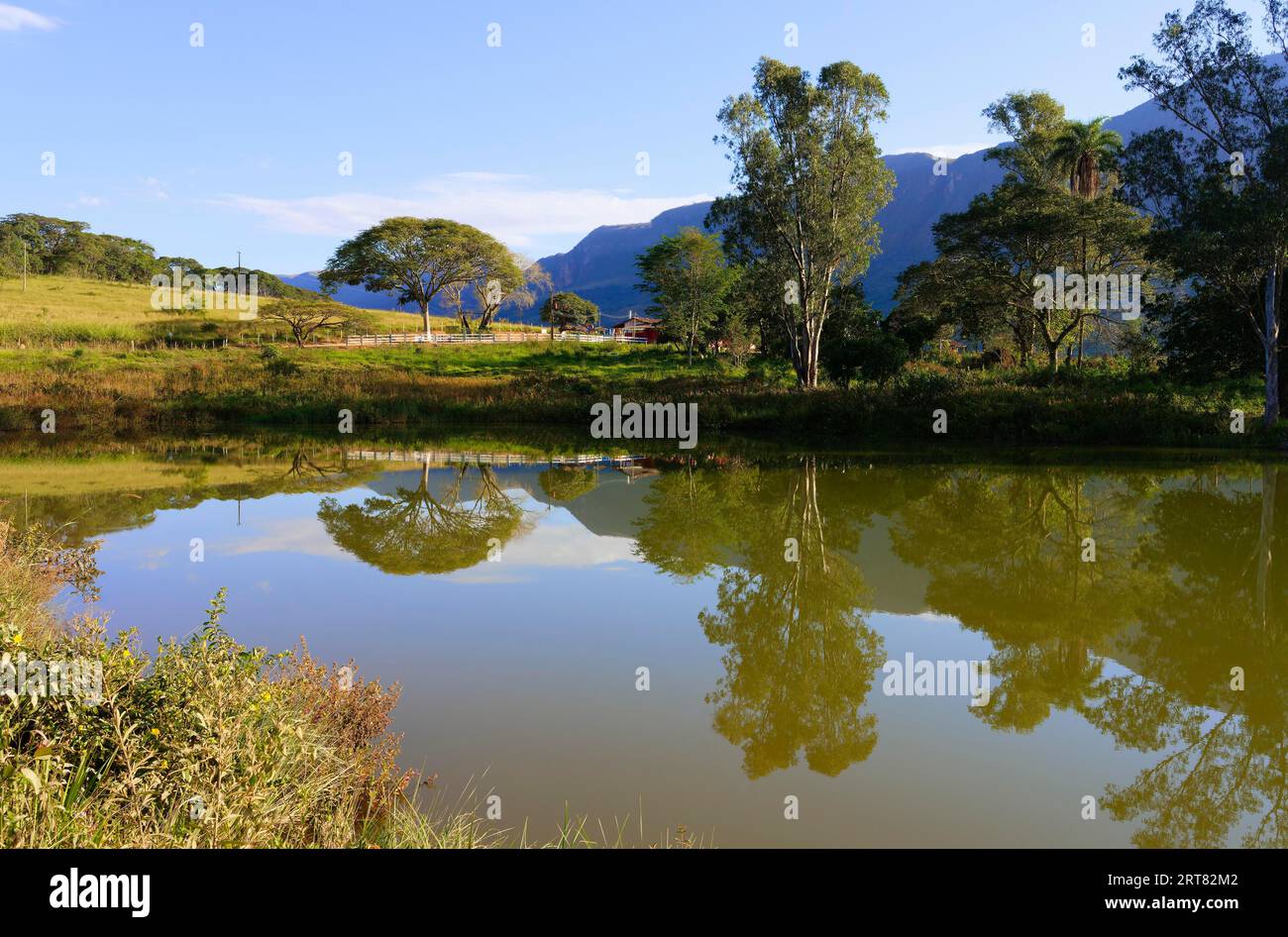 Trees reflecting in a pond, Serra da Canastra, Minas Gerais state, Brazil Stock Photo