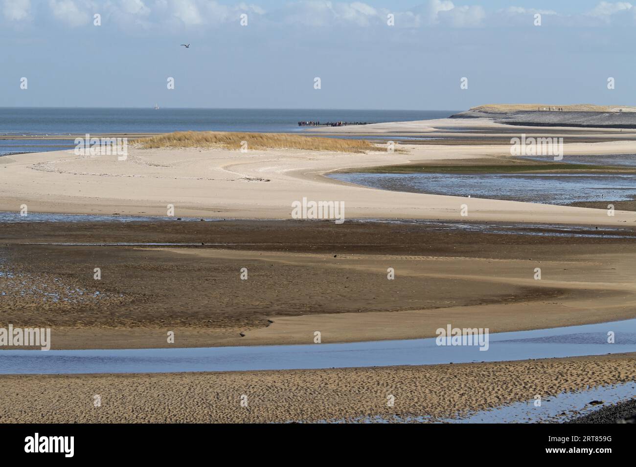 jobbörse sylt