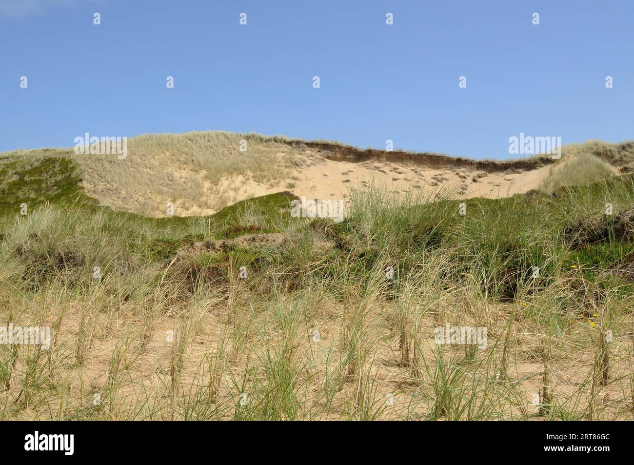 Dune on the West Beach Stock Photo - Alamy